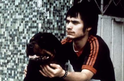 amores perros dog. but Amores Perros may well